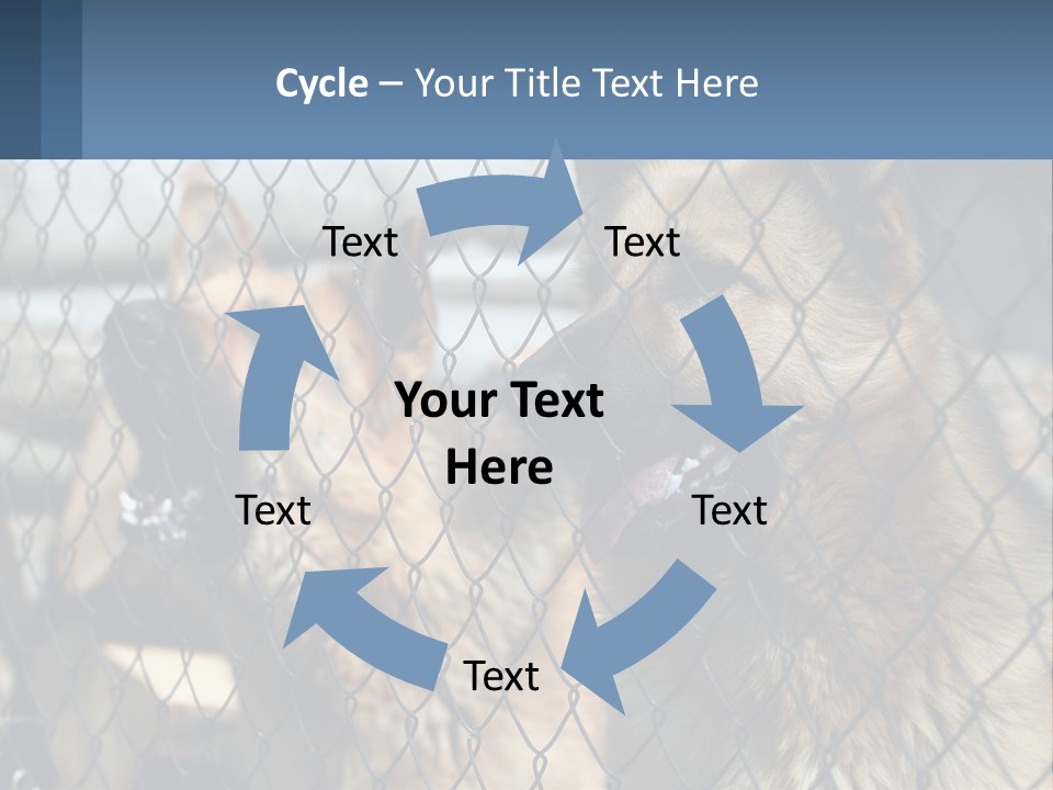 A Group Of Dogs Behind A Chain Link Fence PowerPoint Template