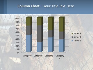 A Group Of Dogs Behind A Chain Link Fence PowerPoint Template