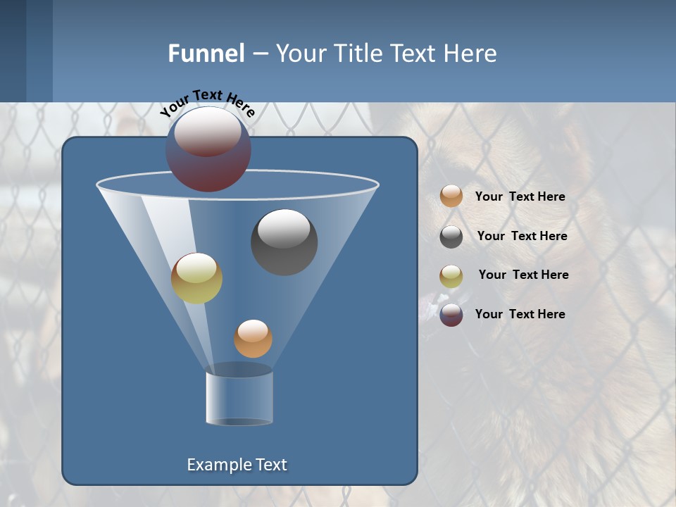 A Group Of Dogs Behind A Chain Link Fence PowerPoint Template