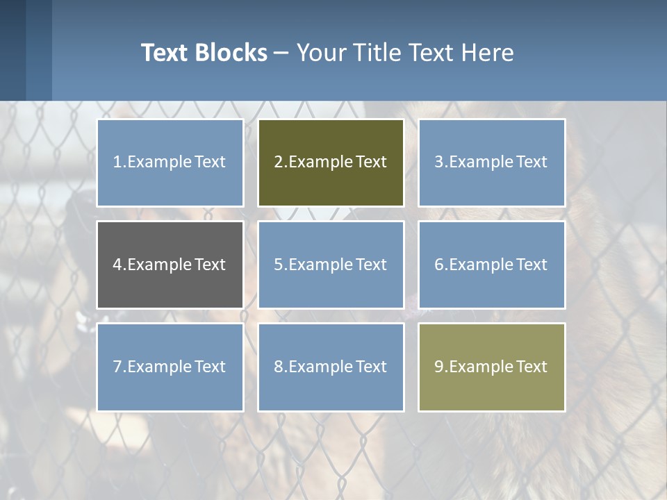 A Group Of Dogs Behind A Chain Link Fence PowerPoint Template