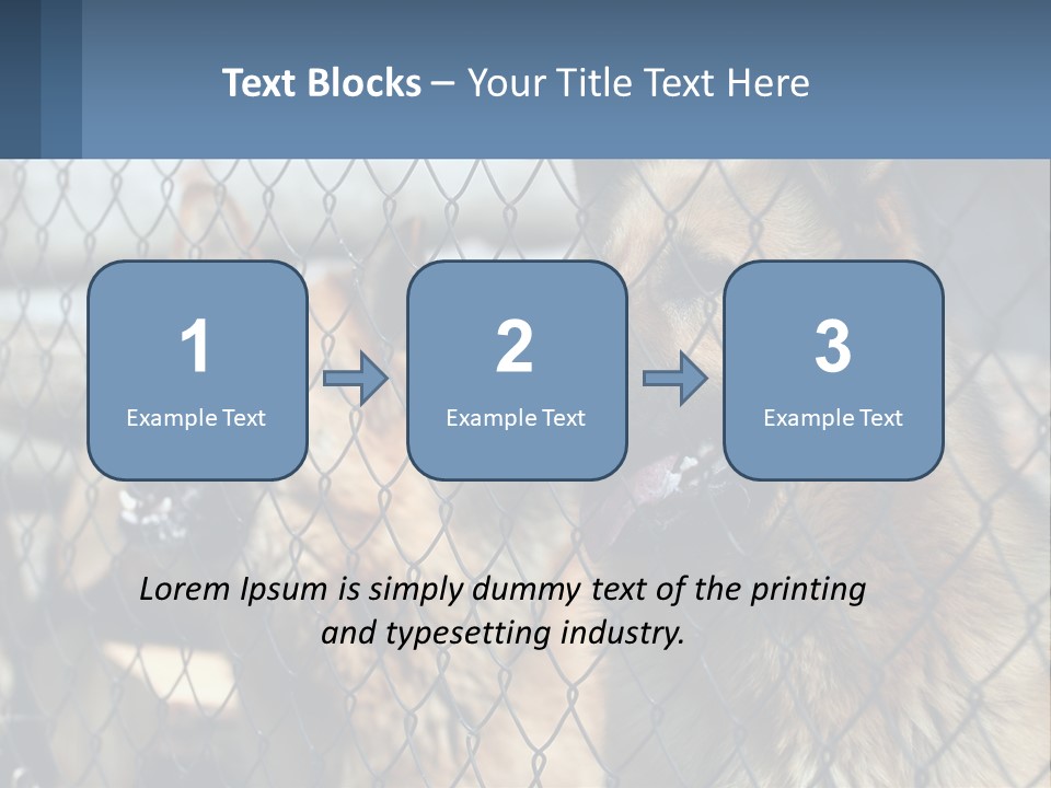 A Group Of Dogs Behind A Chain Link Fence PowerPoint Template