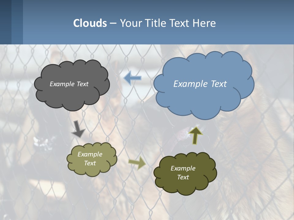 A Group Of Dogs Behind A Chain Link Fence PowerPoint Template