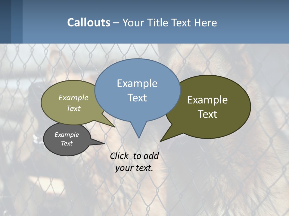 A Group Of Dogs Behind A Chain Link Fence PowerPoint Template