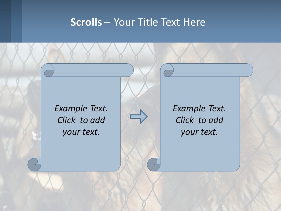 A Group Of Dogs Behind A Chain Link Fence PowerPoint Template