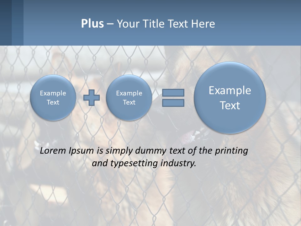 A Group Of Dogs Behind A Chain Link Fence PowerPoint Template