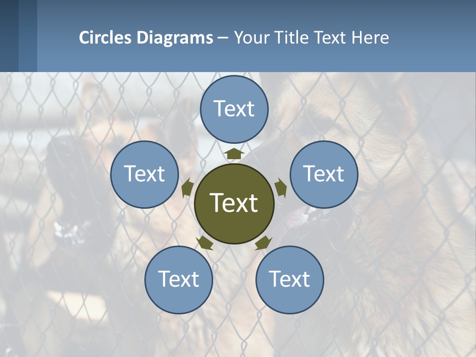 A Group Of Dogs Behind A Chain Link Fence PowerPoint Template