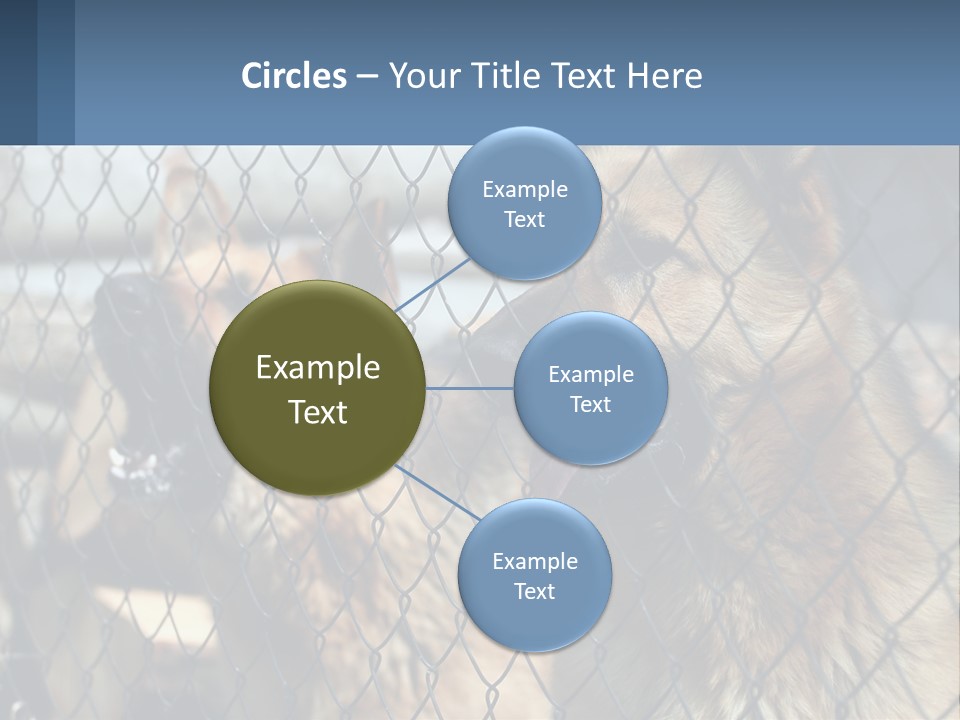 A Group Of Dogs Behind A Chain Link Fence PowerPoint Template