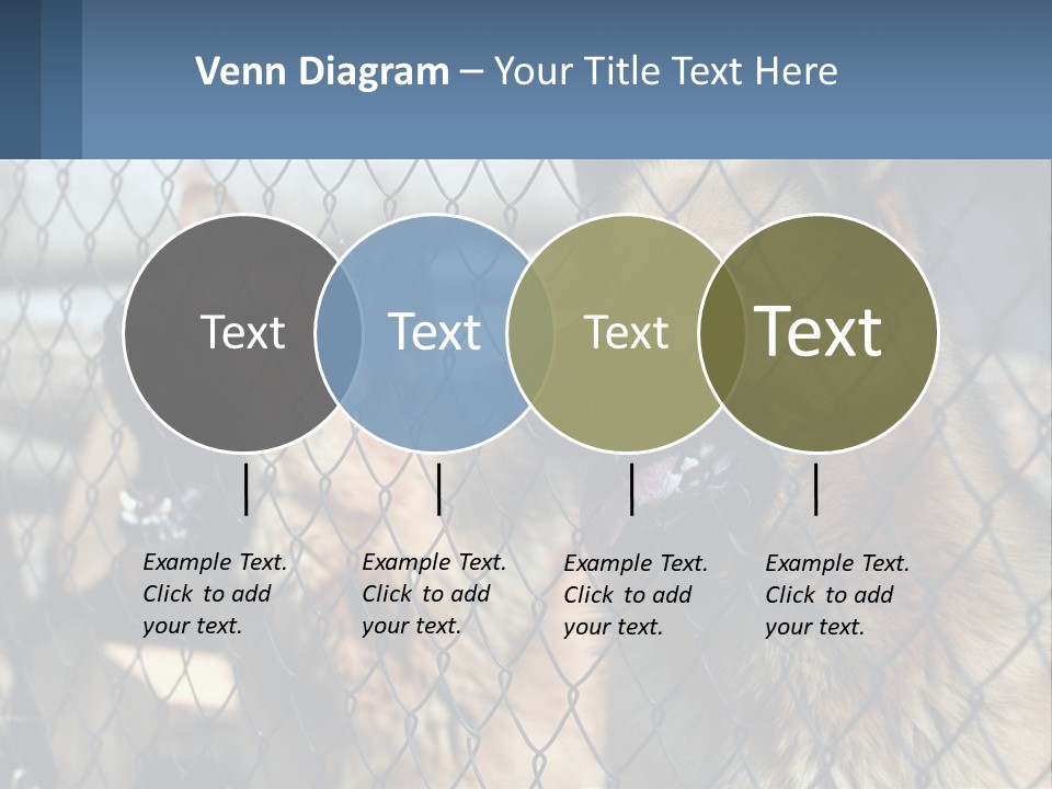 A Group Of Dogs Behind A Chain Link Fence PowerPoint Template