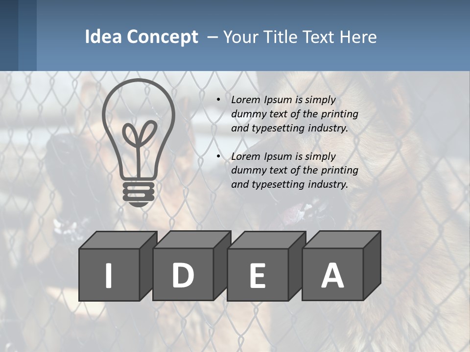 A Group Of Dogs Behind A Chain Link Fence PowerPoint Template