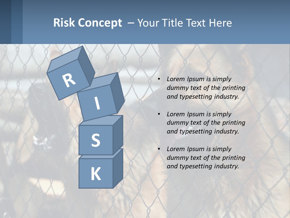 A Group Of Dogs Behind A Chain Link Fence PowerPoint Template