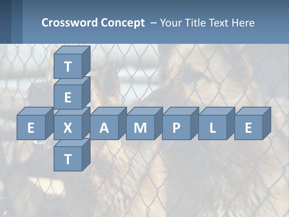 A Group Of Dogs Behind A Chain Link Fence PowerPoint Template