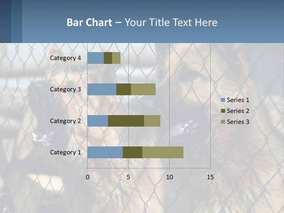 A Group Of Dogs Behind A Chain Link Fence PowerPoint Template