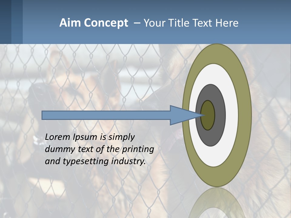 A Group Of Dogs Behind A Chain Link Fence PowerPoint Template