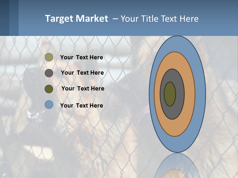 A Group Of Dogs Behind A Chain Link Fence PowerPoint Template