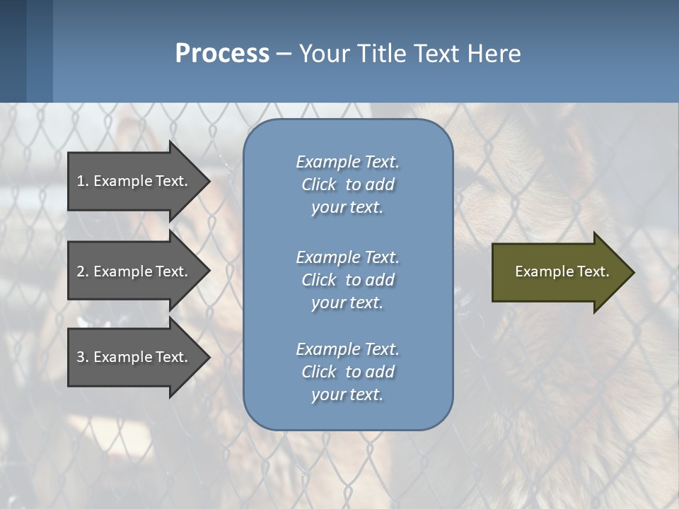 A Group Of Dogs Behind A Chain Link Fence PowerPoint Template
