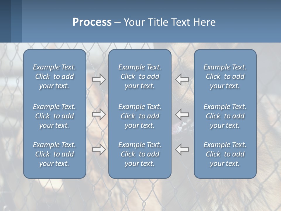 A Group Of Dogs Behind A Chain Link Fence PowerPoint Template