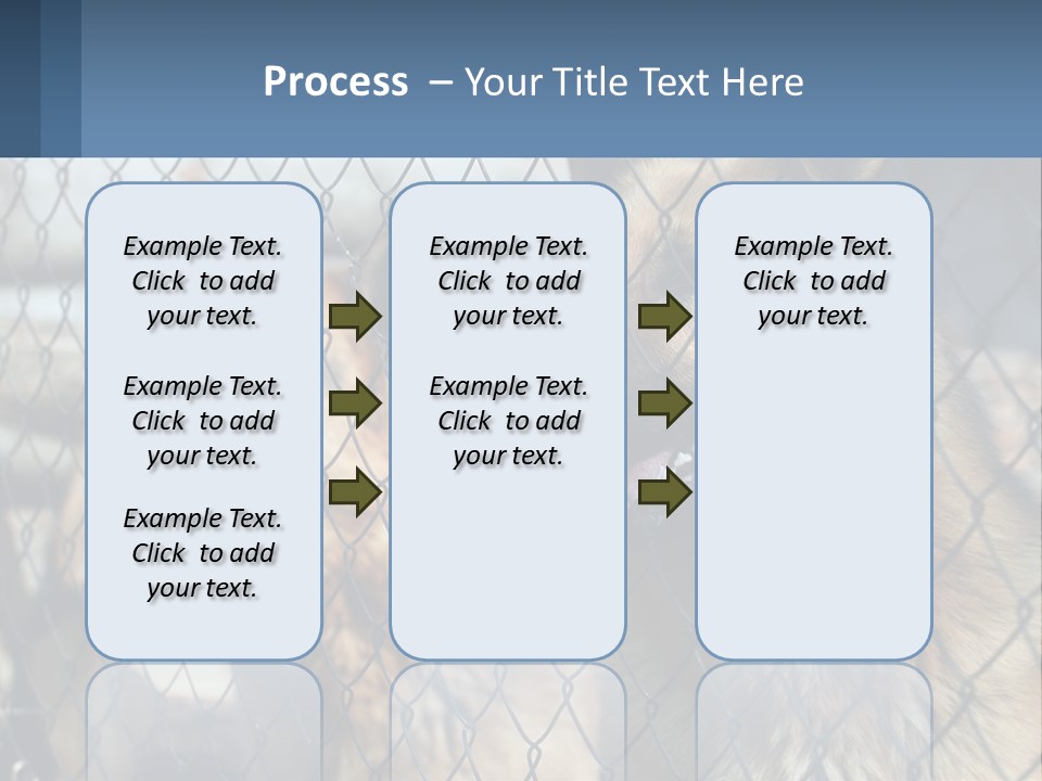 A Group Of Dogs Behind A Chain Link Fence PowerPoint Template