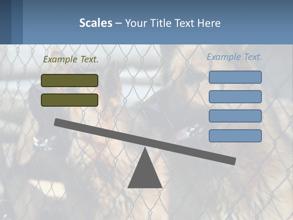 A Group Of Dogs Behind A Chain Link Fence PowerPoint Template