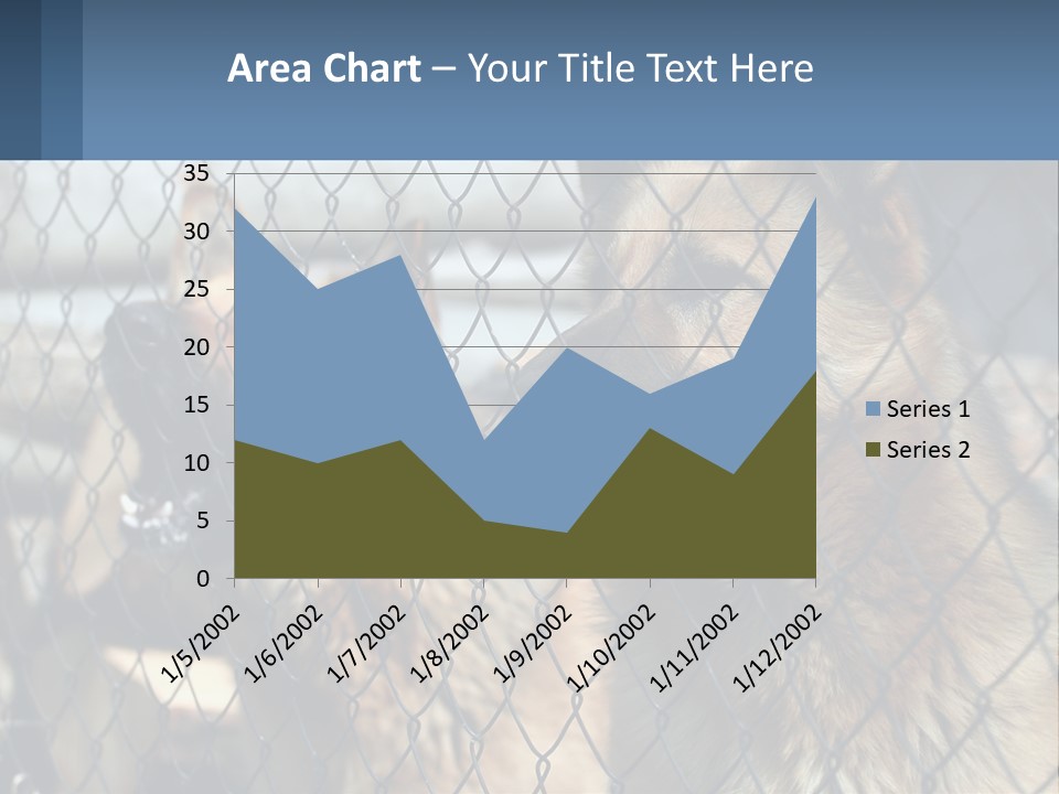 A Group Of Dogs Behind A Chain Link Fence PowerPoint Template
