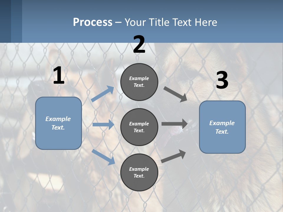 A Group Of Dogs Behind A Chain Link Fence PowerPoint Template