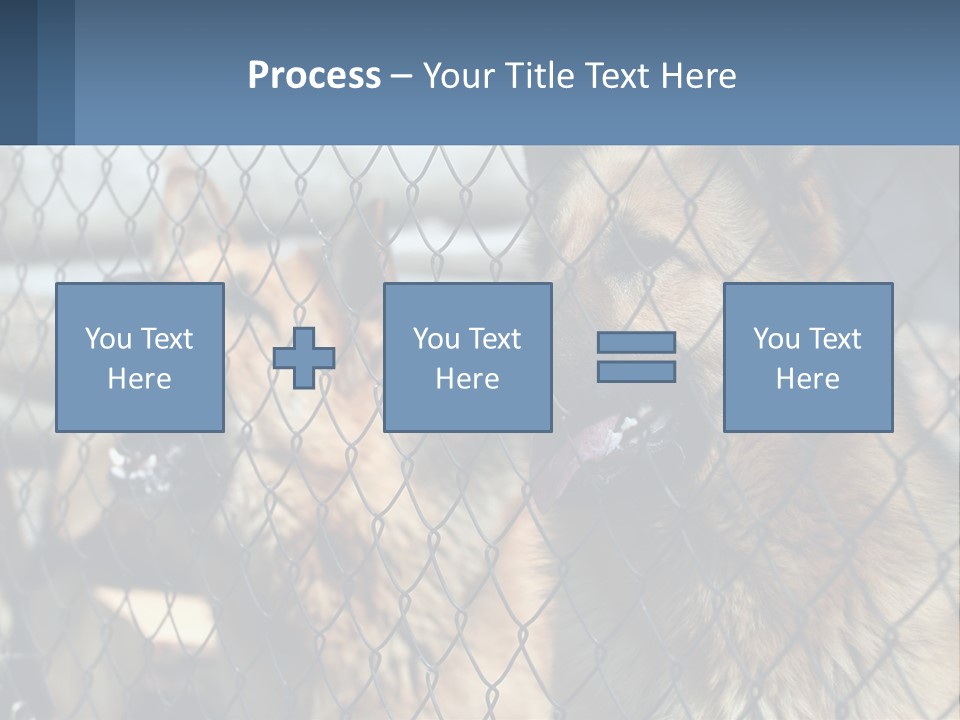 A Group Of Dogs Behind A Chain Link Fence PowerPoint Template