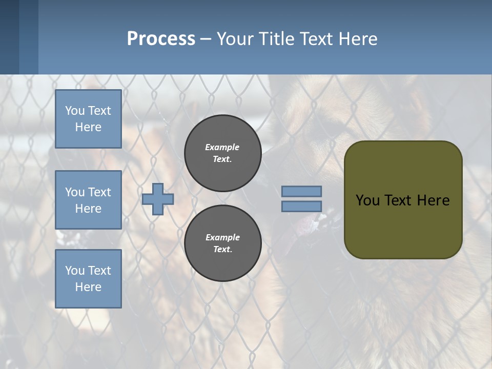 A Group Of Dogs Behind A Chain Link Fence PowerPoint Template