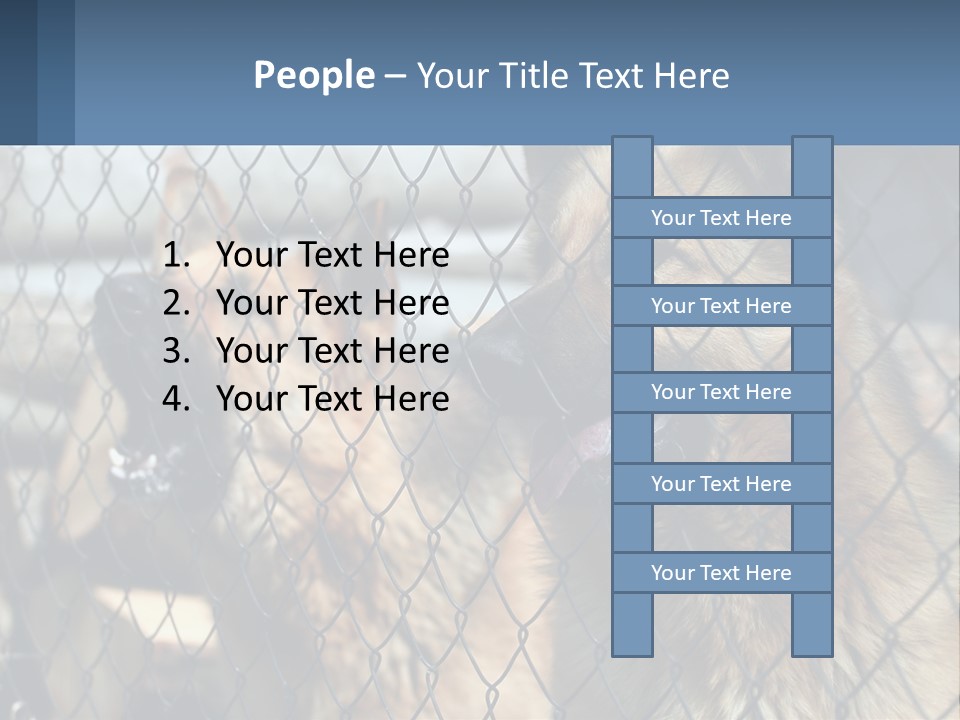 A Group Of Dogs Behind A Chain Link Fence PowerPoint Template