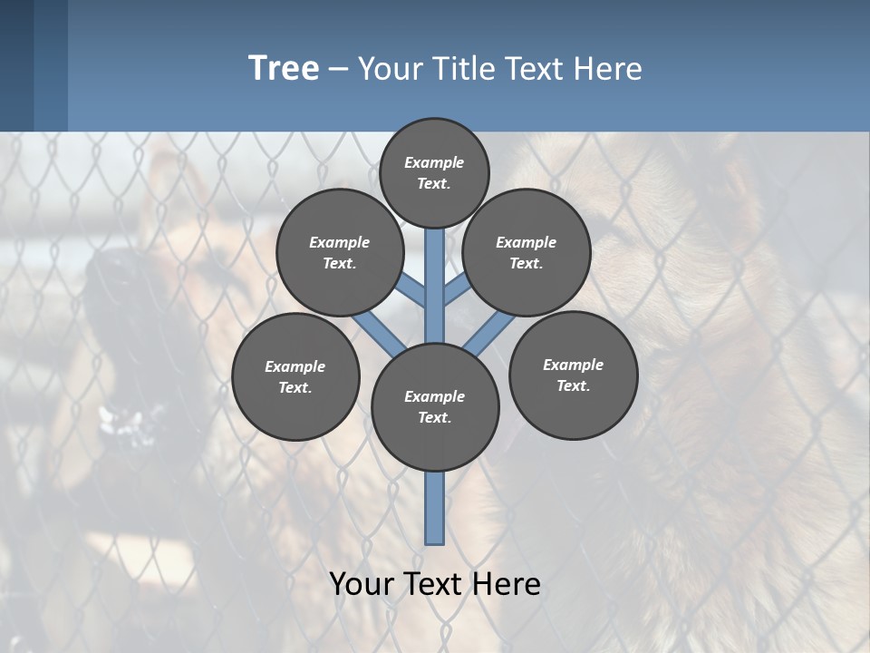 A Group Of Dogs Behind A Chain Link Fence PowerPoint Template