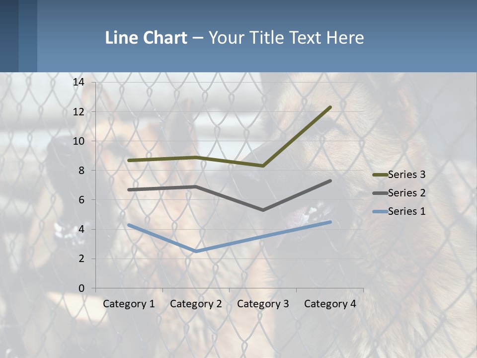 A Group Of Dogs Behind A Chain Link Fence PowerPoint Template
