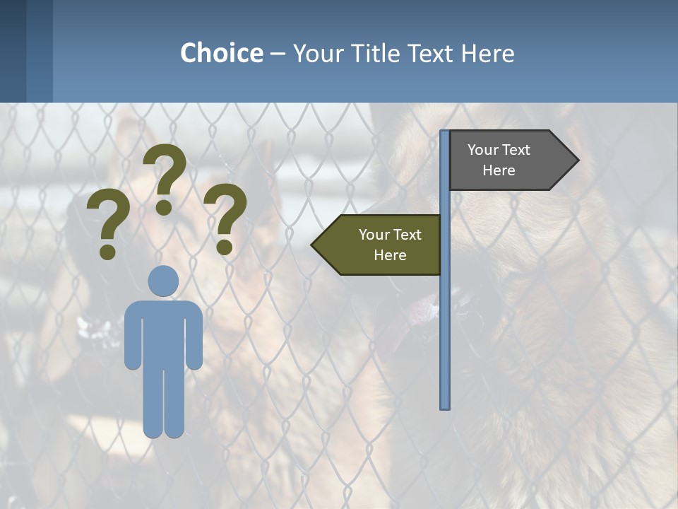 A Group Of Dogs Behind A Chain Link Fence PowerPoint Template