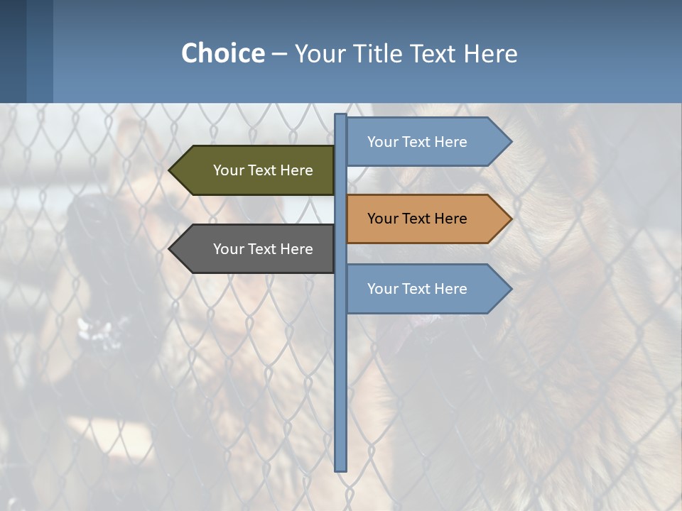 A Group Of Dogs Behind A Chain Link Fence PowerPoint Template