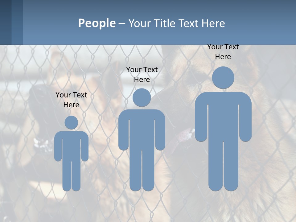 A Group Of Dogs Behind A Chain Link Fence PowerPoint Template