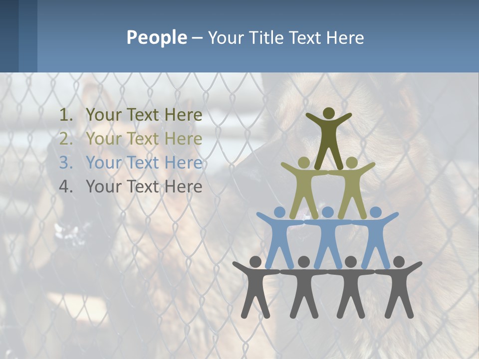 A Group Of Dogs Behind A Chain Link Fence PowerPoint Template