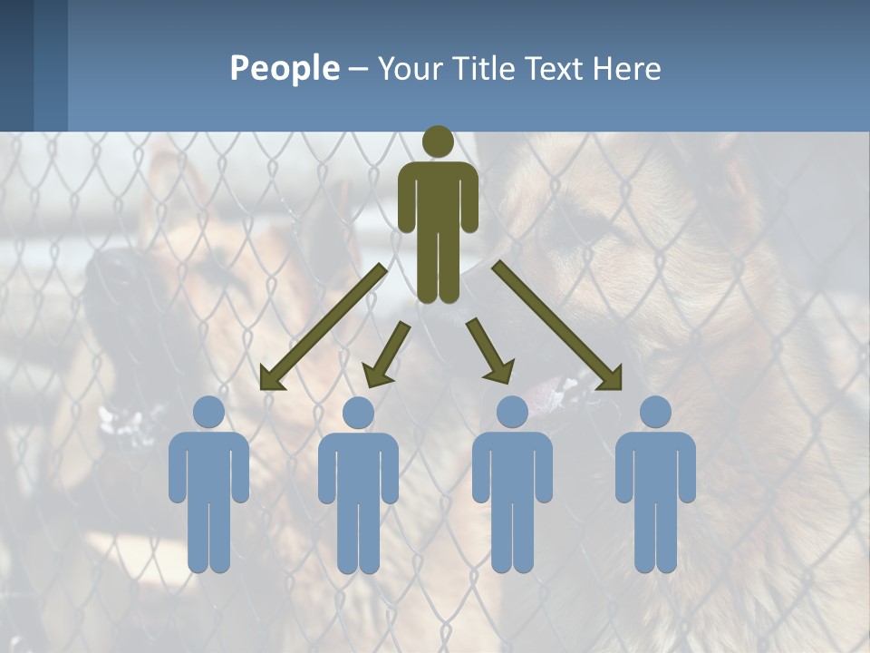 A Group Of Dogs Behind A Chain Link Fence PowerPoint Template