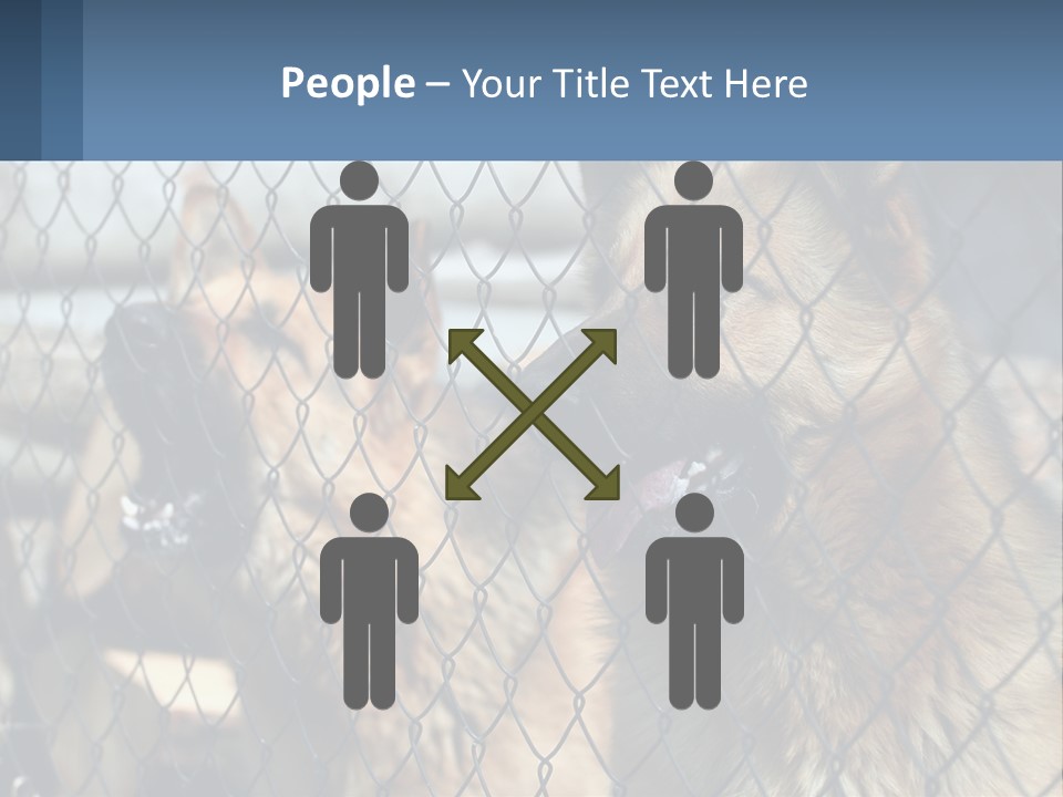 A Group Of Dogs Behind A Chain Link Fence PowerPoint Template