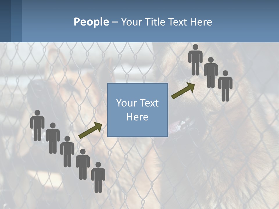 A Group Of Dogs Behind A Chain Link Fence PowerPoint Template