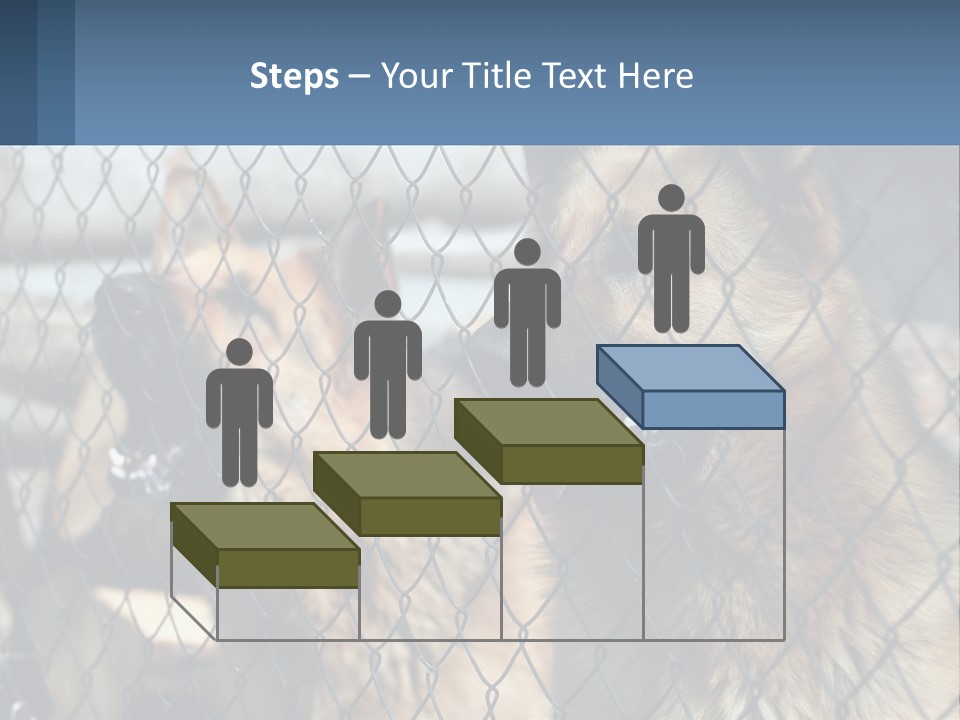 A Group Of Dogs Behind A Chain Link Fence PowerPoint Template