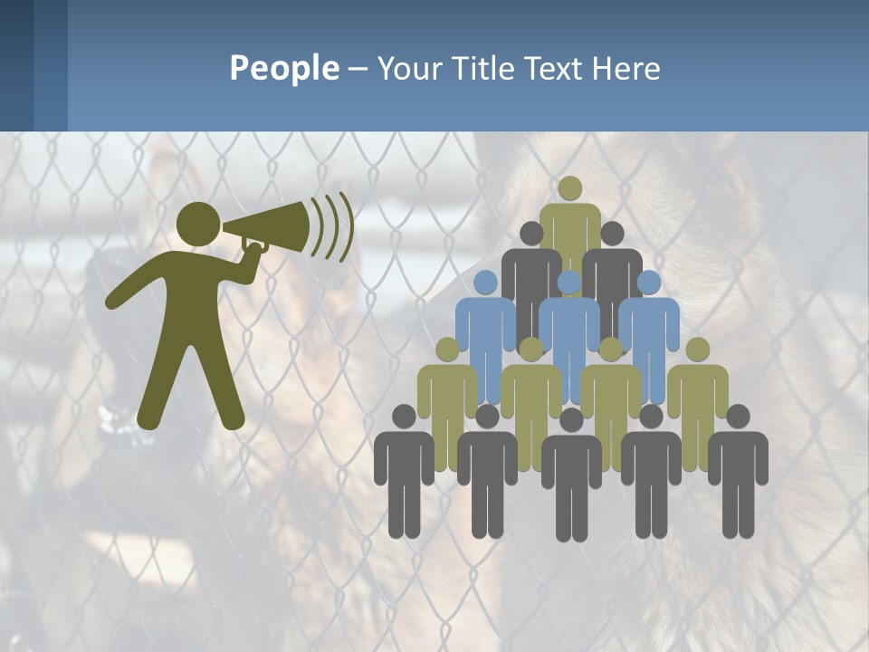 A Group Of Dogs Behind A Chain Link Fence PowerPoint Template