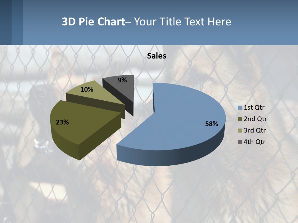 A Group Of Dogs Behind A Chain Link Fence PowerPoint Template