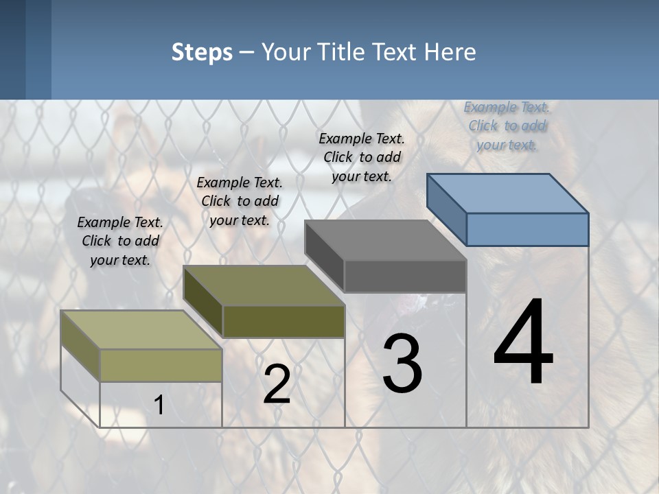 A Group Of Dogs Behind A Chain Link Fence PowerPoint Template