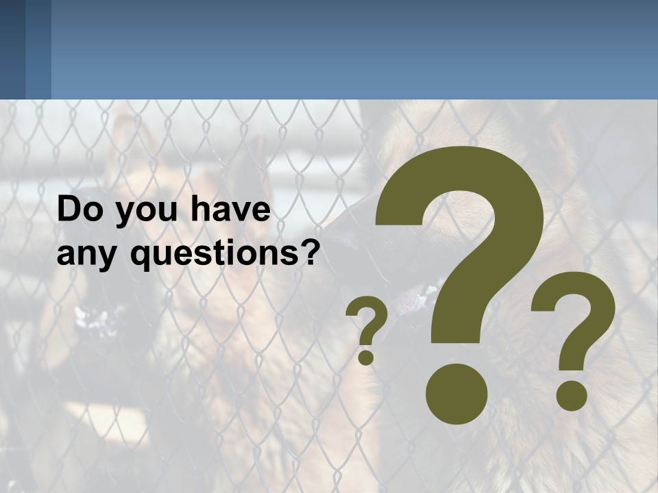 A Group Of Dogs Behind A Chain Link Fence PowerPoint Template