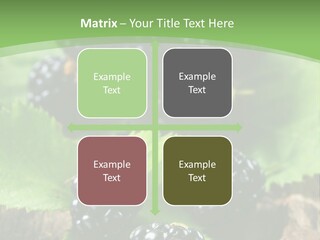 A Bunch Of Blackberries On A Green Leaf Powerpoint Template PowerPoint Template