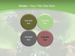 A Bunch Of Blackberries On A Green Leaf Powerpoint Template PowerPoint Template