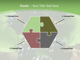 A Bunch Of Blackberries On A Green Leaf Powerpoint Template PowerPoint Template