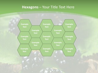A Bunch Of Blackberries On A Green Leaf Powerpoint Template PowerPoint Template