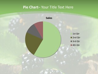 A Bunch Of Blackberries On A Green Leaf Powerpoint Template PowerPoint Template