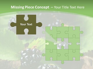 A Bunch Of Blackberries On A Green Leaf Powerpoint Template PowerPoint Template