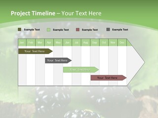 A Bunch Of Blackberries On A Green Leaf Powerpoint Template PowerPoint Template