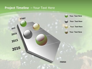 A Bunch Of Blackberries On A Green Leaf Powerpoint Template PowerPoint Template