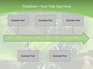 A Bunch Of Blackberries On A Green Leaf Powerpoint Template PowerPoint Template